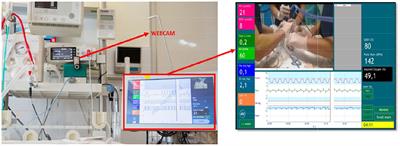 Improving the Quality of Provided Care: Lessons Learned From Auditing Neonatal Stabilization